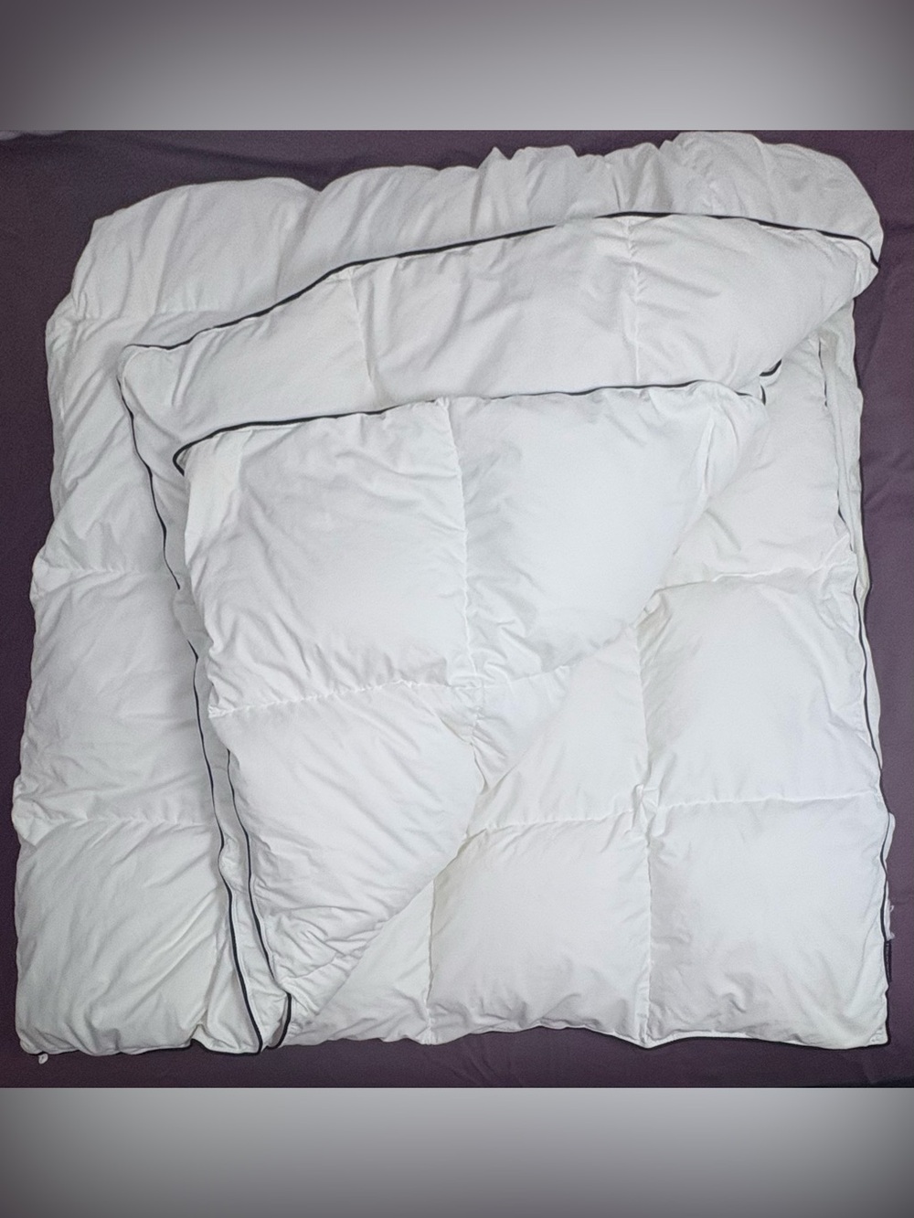 Queen Luxury Goose Down Comforter Fluffy Soft All Season Duvet Insert White